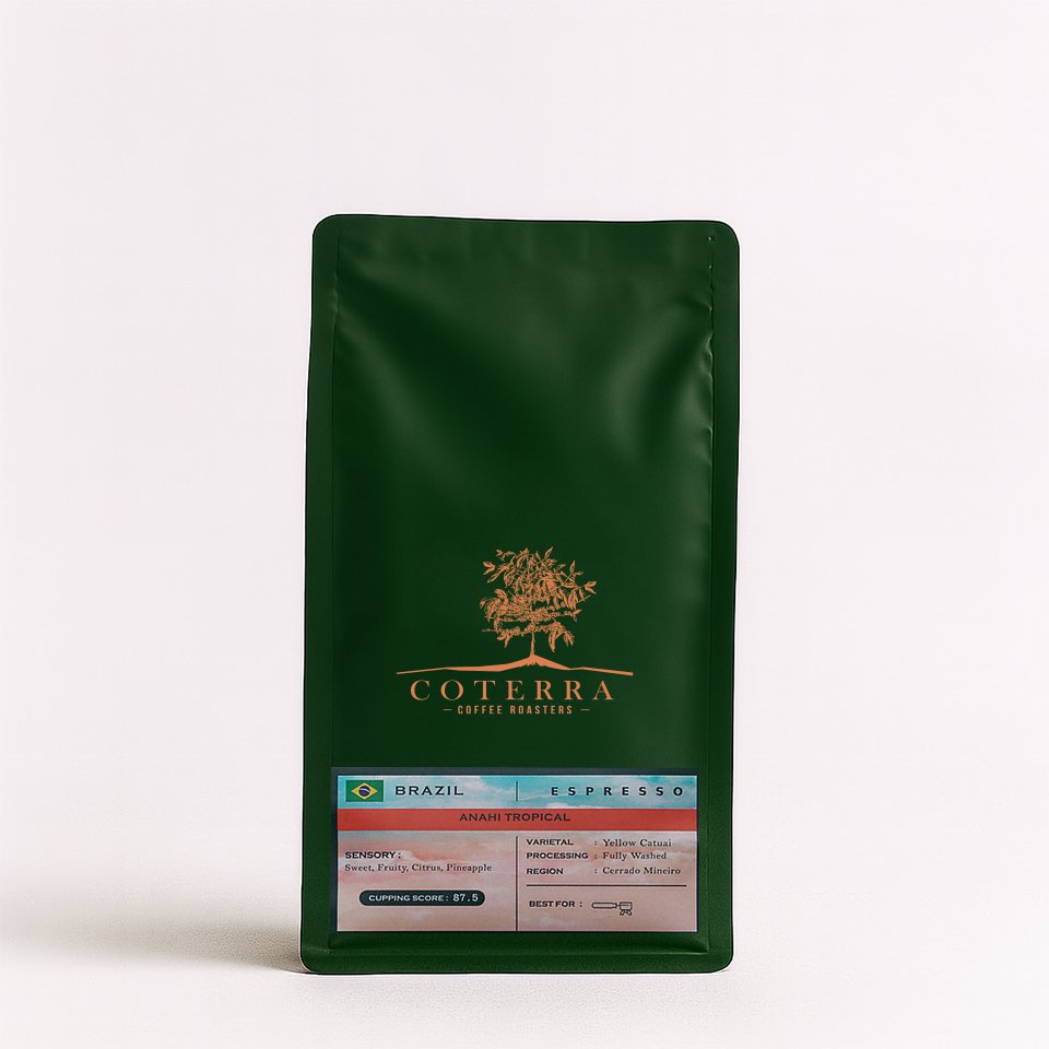 Brazil Anahi Tropical